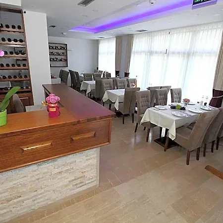 Hotel Apis 4*