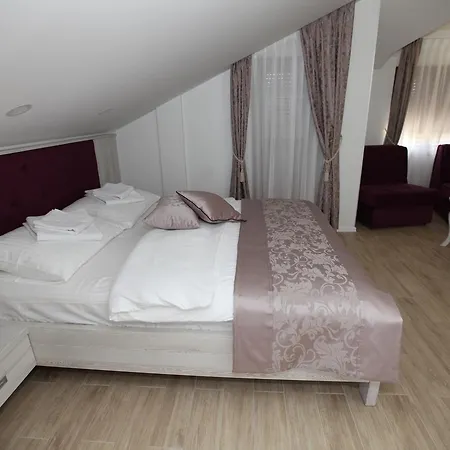 Hotel Apis 4*