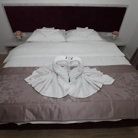 Apis トレビニエ