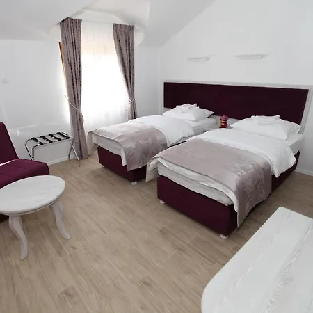 ホテル Apis トレビニエ