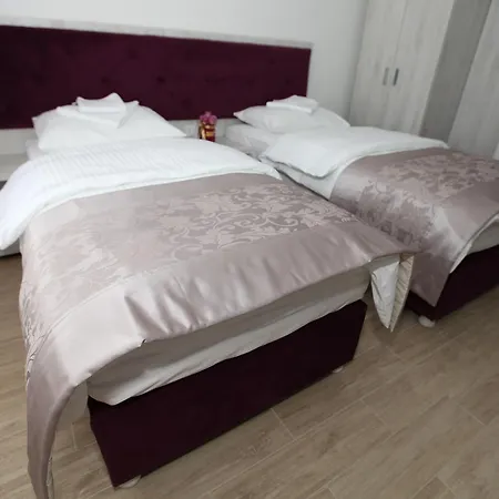 Apis ホテル トレビニエ